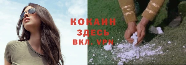 соль ск Алексин